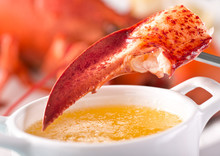 Lobster Claw With Melted Butter