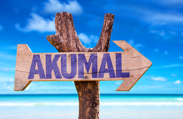 Wall Mural - Akumal wooden sign with beach background