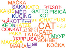 Cat Multilanguage Wordcloud Background Concept