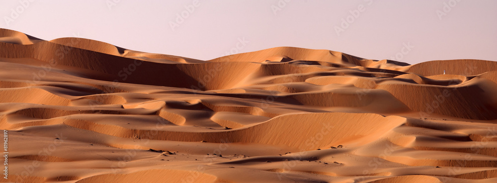 Abu Dhabi dune's desert - obrazy, fototapety, plakaty 