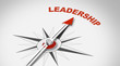 © Coloures-Pic - Leadership