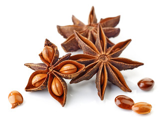 Canvas Print - Star anise spice and seeds