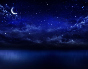 Wall Mural - beautiful night sky in the open sea