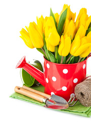 Wall Mural - Spring flowers tulip with garden tools. Isolated on white