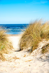 Dune at the Baltic Sea, North of Germany