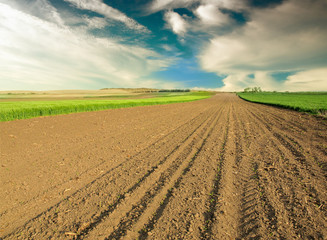 Canvas Print - plowed field and blue sky