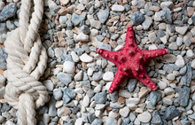 Closeup Of Red Starfish And Marine Knot Lying On Colorful Pebble
