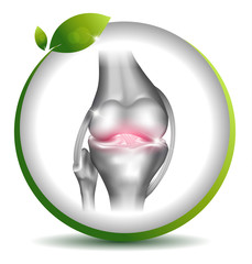 Poster - Normal knee joint symbol in the leaf circle