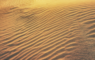  Gold rippled sand 