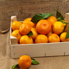 Tangerines Or Mandarin Orange In Wooden Box