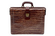 © Kakapo - briefcase