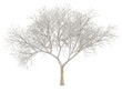 © Flash Vector - Winter tree on snow isolated