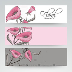 Wall Mural - Floral website header or banner design.