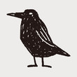 crow doodle