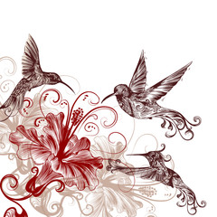 Poster - Floral background with hummingbirds and hibiscus flowers