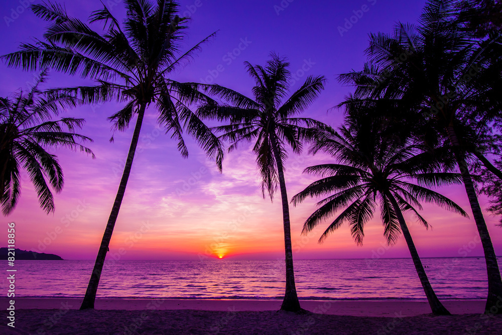 Palm trees silhouette at sunset - obrazy, fototapety, plakaty 