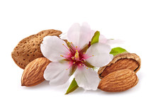 Almonds With Flowers