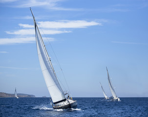 Wall Mural - Boats in sailing regatta. Yachting. Luxury yachts.