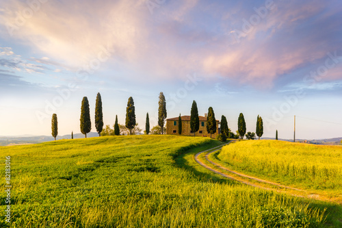 Fototapeta na wymiar Tuscany, landscape and farmhouse in the hills of Val d'Orcia