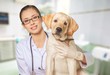 Veterinarian. Vet using technology with a little dog - isolated