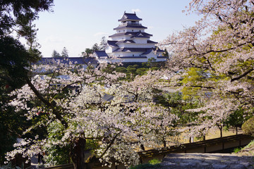 Wall Mural - 鶴ヶ城　天守閣