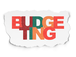 Business concept: Budgeting on Torn Paper background