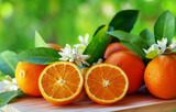 Fototapeta Panele - orange fruits and flowers on table