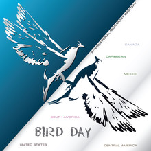 Poster International Migratory Bird Day