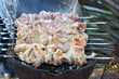 © Irina Brinza - Skewers on a barbecue