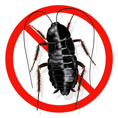 Sticker - blatta orientalis, cockroach