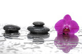 Fototapeta Panele - Spa still life with pink orchid with wet stones 