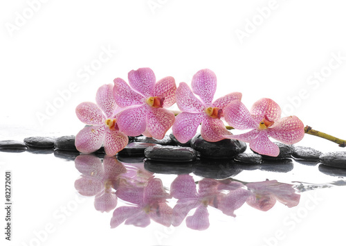 Nowoczesny obraz na płótnie branch pink orchid with stones