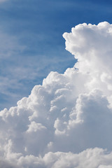 Wall Mural - white clouds closeup in blue sky