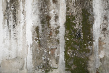 Concrete Wall With Grunge Texture And Moss Green Algae , Texture