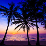Fototapeta Morze - Beautiful sunset.  Sunset over the ocean with tropical palm tree