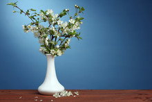 Blossoming Cherry Branches In A Vase