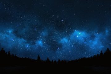 Wall Mural - night sky with trees