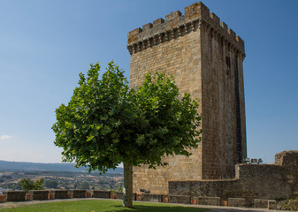 Tower and tree of castle Monforte de Lemos in Galicia, Spain