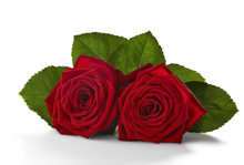 Two Red Roses With Green Leaves