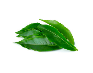 Wall Mural - tea leaf isolated on white background