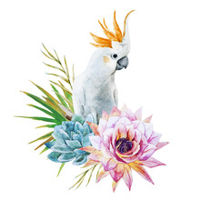 Watercolor Parrot With Flowers