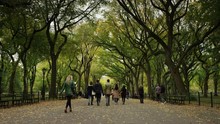 Slow Motion Wide Shot Of People Walking In Central Park / New York City, New York, United States