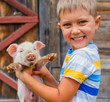 Boy with piglet