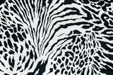 Fototapeta Konie - texture of print fabric striped zebra and leopard for background