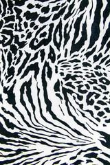 Wall Mural - texture of print fabric striped zebra and leopard for background