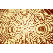 Tree Rings Saw Cut Tree Trunk Background. Vector Illustration.