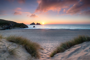 Wall Mural - Sunset Through the Dunes