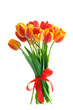 Bouquet of red tulips with red ribbon isolated 