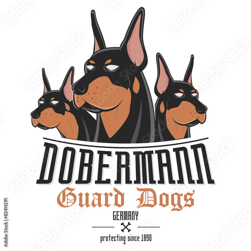 dobermann hund wachhund Poster Mural XXL