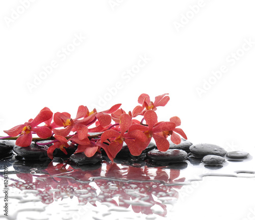 Fototapeta do kuchni beautiful branch orchid with stones reflection